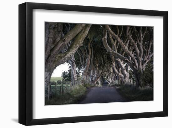 Dark Hedges Northern Ireland-null-Framed Art Print