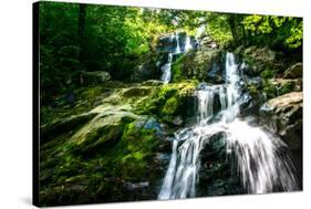 Dark Hollow Falls I-Alan Hausenflock-Stretched Canvas