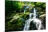 Dark Hollow Falls I-Alan Hausenflock-Mounted Photo