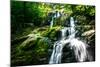 Dark Hollow Falls I-Alan Hausenflock-Mounted Photo