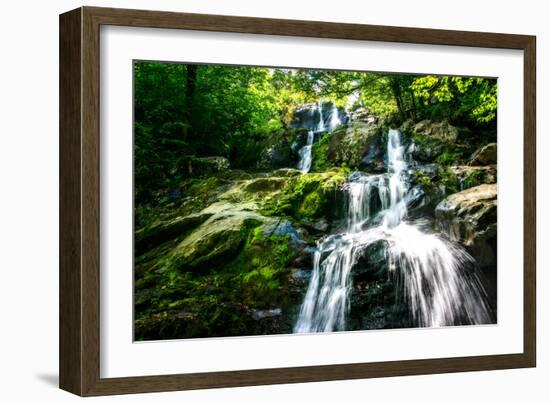 Dark Hollow Falls I-Alan Hausenflock-Framed Photo