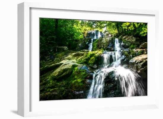 Dark Hollow Falls I-Alan Hausenflock-Framed Photo