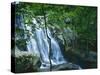 Dark Hollow Falls, Shenandoah National Park, Virginia, USA-Charles Gurche-Stretched Canvas