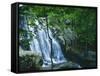 Dark Hollow Falls, Shenandoah National Park, Virginia, USA-Charles Gurche-Framed Stretched Canvas