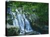 Dark Hollow Falls, Shenandoah National Park, Virginia, USA-Charles Gurche-Stretched Canvas