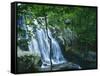 Dark Hollow Falls, Shenandoah National Park, Virginia, USA-Charles Gurche-Framed Stretched Canvas