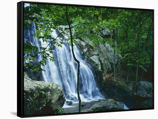 Dark Hollow Falls, Shenandoah National Park, Virginia, USA-Charles Gurche-Framed Stretched Canvas