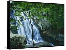 Dark Hollow Falls, Shenandoah National Park, Virginia, USA-Charles Gurche-Framed Stretched Canvas