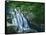 Dark Hollow Falls, Shenandoah National Park, Virginia, USA-Charles Gurche-Framed Stretched Canvas