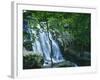 Dark Hollow Falls, Shenandoah National Park, Virginia, USA-Charles Gurche-Framed Photographic Print