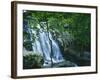 Dark Hollow Falls, Shenandoah National Park, Virginia, USA-Charles Gurche-Framed Photographic Print