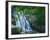 Dark Hollow Falls, Shenandoah National Park, Virginia, USA-Charles Gurche-Framed Photographic Print