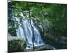 Dark Hollow Falls, Shenandoah National Park, Virginia, USA-Charles Gurche-Mounted Photographic Print