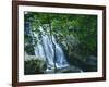 Dark Hollow Falls, Shenandoah National Park, Virginia, USA-Charles Gurche-Framed Photographic Print