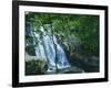 Dark Hollow Falls, Shenandoah National Park, Virginia, USA-Charles Gurche-Framed Photographic Print