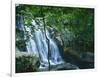 Dark Hollow Falls, Shenandoah National Park, Virginia, USA-Charles Gurche-Framed Photographic Print