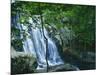 Dark Hollow Falls, Shenandoah National Park, Virginia, USA-Charles Gurche-Mounted Photographic Print