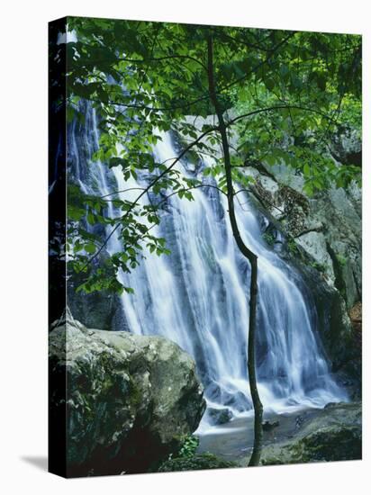 Dark Hollow Falls, Shenandoah National Park, Virginia, USA-Charles Gurche-Stretched Canvas
