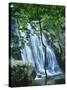 Dark Hollow Falls, Shenandoah National Park, Virginia, USA-Charles Gurche-Stretched Canvas