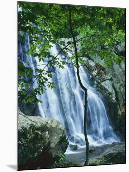 Dark Hollow Falls, Shenandoah National Park, Virginia, USA-Charles Gurche-Mounted Premium Photographic Print