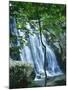 Dark Hollow Falls, Shenandoah National Park, Virginia, USA-Charles Gurche-Mounted Premium Photographic Print
