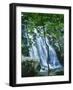 Dark Hollow Falls, Shenandoah National Park, Virginia, USA-Charles Gurche-Framed Photographic Print