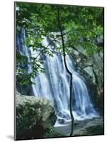 Dark Hollow Falls, Shenandoah National Park, Virginia, USA-Charles Gurche-Mounted Photographic Print