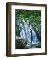 Dark Hollow Falls, Shenandoah National Park, Virginia, USA-Charles Gurche-Framed Photographic Print