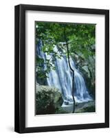 Dark Hollow Falls, Shenandoah National Park, Virginia, USA-Charles Gurche-Framed Photographic Print