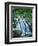 Dark Hollow Falls, Shenandoah National Park, Virginia, USA-Charles Gurche-Framed Photographic Print