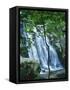 Dark Hollow Falls, Shenandoah National Park, Virginia, USA-Charles Gurche-Framed Stretched Canvas