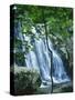 Dark Hollow Falls, Shenandoah National Park, Virginia, USA-Charles Gurche-Stretched Canvas