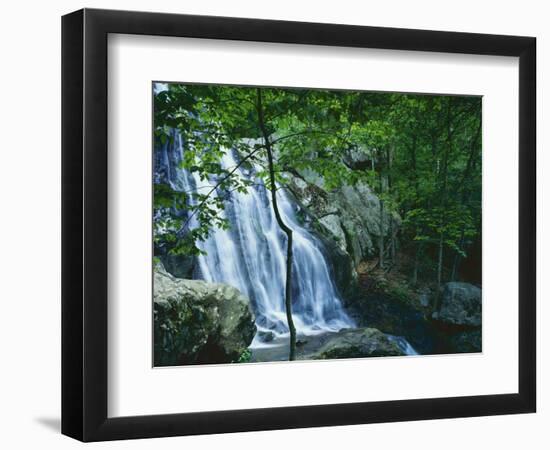 Dark Hollow Falls, Shenandoah National Park, Virginia, USA-Charles Gurche-Framed Photographic Print