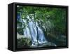 Dark Hollow Falls, Shenandoah National Park, Virginia, USA-Charles Gurche-Framed Stretched Canvas