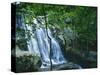 Dark Hollow Falls, Shenandoah National Park, Virginia, USA-Charles Gurche-Stretched Canvas