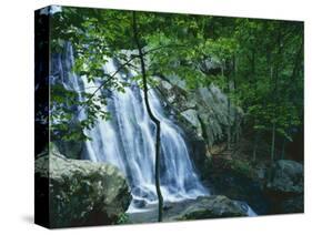 Dark Hollow Falls, Shenandoah National Park, Virginia, USA-Charles Gurche-Stretched Canvas