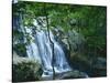 Dark Hollow Falls, Shenandoah National Park, Virginia, USA-Charles Gurche-Stretched Canvas