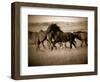 Dark Horse-J.C. Leacock-Framed Photographic Print