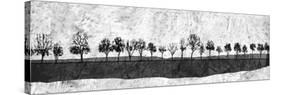 Dark Ink Trees-Ynon Mabat-Stretched Canvas