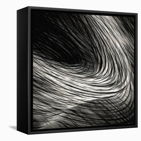 Dark madness-Gilbert Claes-Framed Stretched Canvas