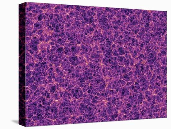 Dark Matter Distribution-Volker Springel-Stretched Canvas