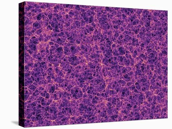 Dark Matter Distribution-Volker Springel-Stretched Canvas