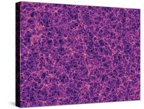 Dark Matter Distribution-Volker Springel-Stretched Canvas