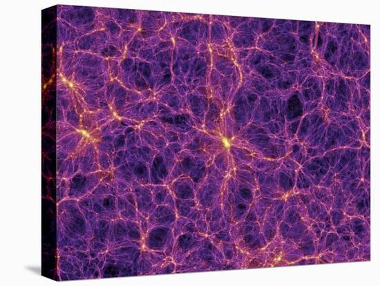 Dark Matter Distribution-Volker Springel-Stretched Canvas