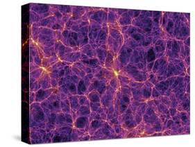 Dark Matter Distribution-Volker Springel-Stretched Canvas