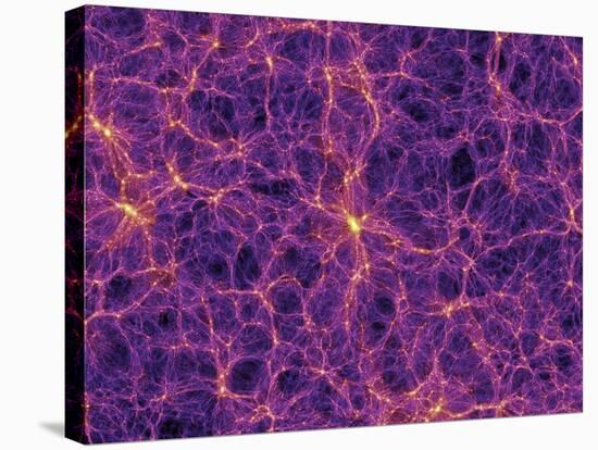 Dark Matter Distribution-Volker Springel-Stretched Canvas