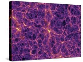 Dark Matter Distribution-Volker Springel-Stretched Canvas