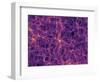 Dark Matter Distribution-Volker Springel-Framed Premium Photographic Print