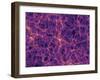 Dark Matter Distribution-Volker Springel-Framed Premium Photographic Print