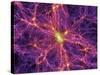 Dark Matter Distribution-Volker Springel-Stretched Canvas